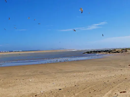 Möwen kreisen über dem weiten Huelva Strand. Das Meer glitzert, während sich im Hintergrund eine Stadt abzeichnet.