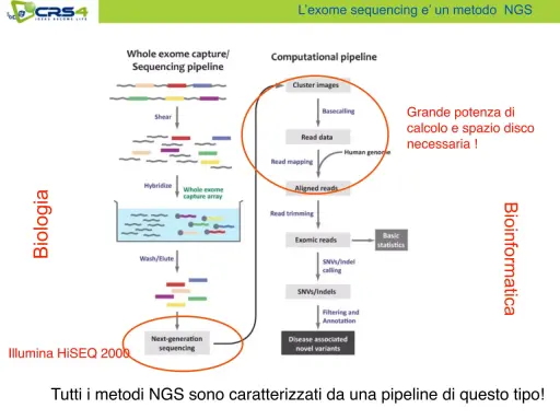 La pipeline di sequenziamento dell'esoma, con esoma cos'è, mostra i passaggi biologici e bioinformatici per analizzare il DNA.