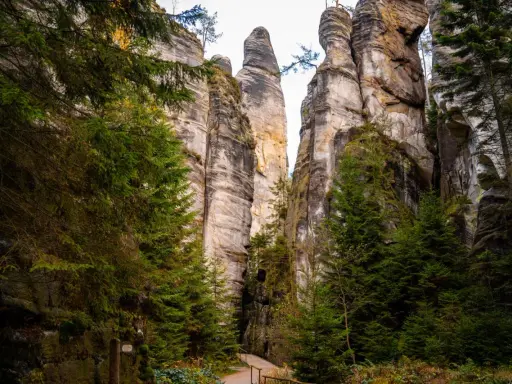 Ścieżka wśród skalnych gigantów w Broumovskich Stenach. Wysokie, piaszczyste formacje skalne otoczone zielonymi świerkami.