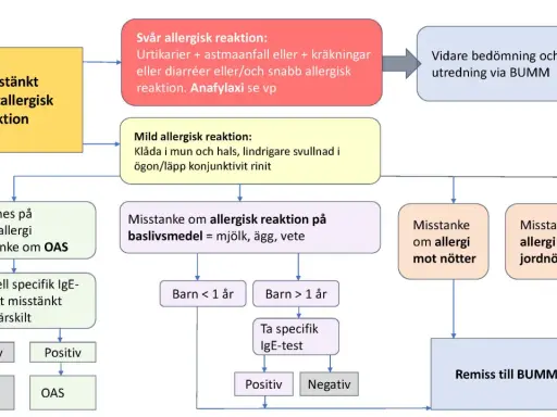 Flödesschema för misstänkt matallergisk reaktion hos bebis. Utredning av symtom, tester och remiss.