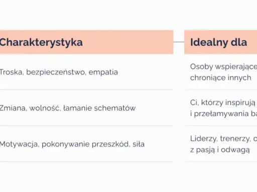 Przykłady archetypów: Opiekun (troska, empatia), Buntownik (zmiana, wolność), Bohater (motywacja, siła).