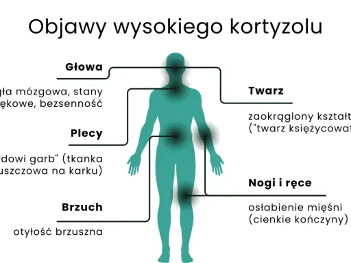 Wysoki kortyzol objawia się mgłą mózgową, lękami, bezsennością, "twarzą księżycowatą", garbkiem tłuszczowym na karku, otyłością brzuszną i osłabieniem mięśni.