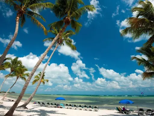 Palmen säumen einen weißen Sandstrand mit Liegestühlen und blauen Sonnenschirmen am türkisfarbenen Meer unter blauem Himmel.