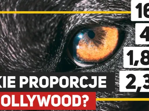 Jak zrobić zdjęcie z filmu? Klatka 4K krok po kroku!