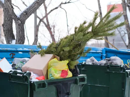 Po świętach czas na porządki. Gdzie wyrzucić sztuczną choinkę? W tym przypadku zielona gałązka trafiła do śmietnika.