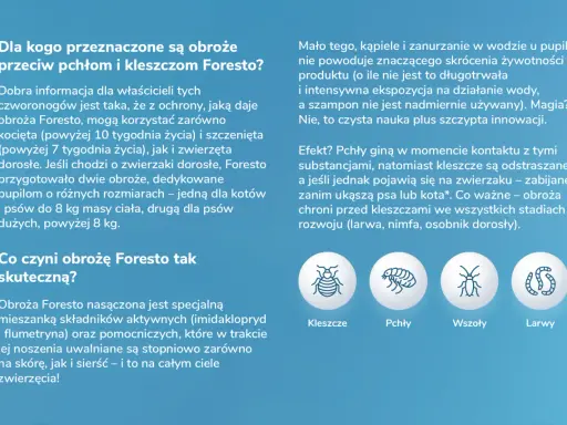 Obroża na kleszcze: Foresto, Kiltix, Sabunol którą wybrać?