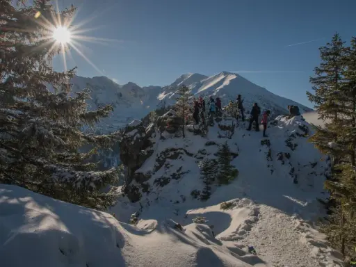 Grupa turystów podziwia zimowe Tatry. Słońce przebija się przez drzewa, tworząc piękne widoki. Idealne miejsce na pierwsze zimowe wędrówki.