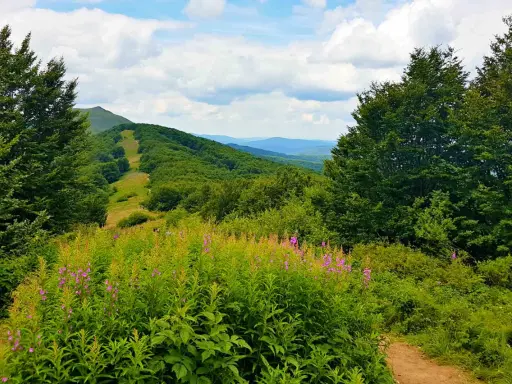 Twój przewodnik po Dworku Sanockim: Menu, noclegi, imprezy, Bieszczady