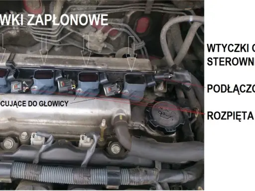 Cewki zapłonowe w samochodzie, przykręcone do głowicy. Widać wtyczki od sterownika, podłączone i rozpięte.