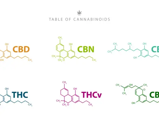 Tabela kannabinoidów: CBD, CBN, CBG, THC, THCV, CBC. CBG to jeden z kannabinoidów.