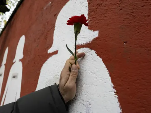 Un fiore rosso su un muro con sagome bianche, un omaggio alle vittime di femminicidio, cause psicologiche da affrontare.