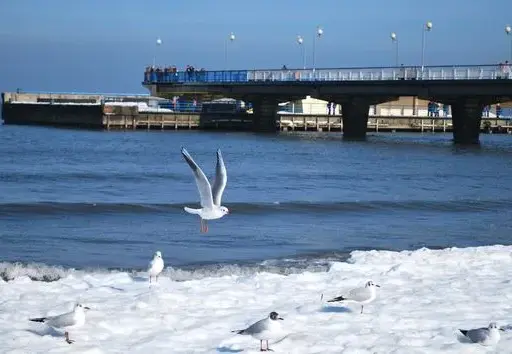 Kołobrzeg: Ile stopni dziś? Pogoda, woda i prognoza na urlop