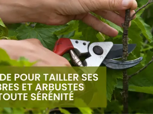 Main d'un jardinier utilisant un sécateur pour l'élagage d'un arbre. Guide pour tailler ses arbres et arbustes en toute sérénité.