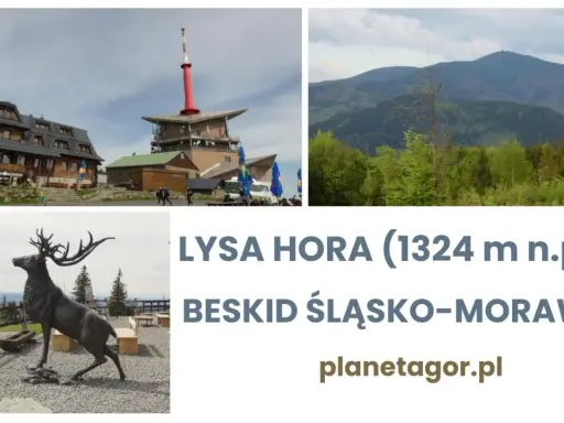 Łysa Hora, Beskid Śląsko-Morawski: budynek, wieża, krajobraz górski i rzeźba jelenia.