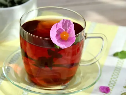 Ein Glas Cistus Tee mit einer rosa Blüte. Die Cistus Tee Wirkung ist bekannt für ihre entzündungshemmenden Eigenschaften.