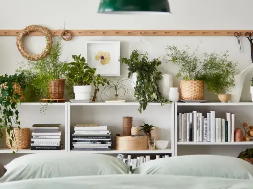 Grüne Oase im Schlafzimmer: Viele Pflanzen auf Regalen, Bücher und Dekoartikel schaffen eine gemütliche Atmosphäre.