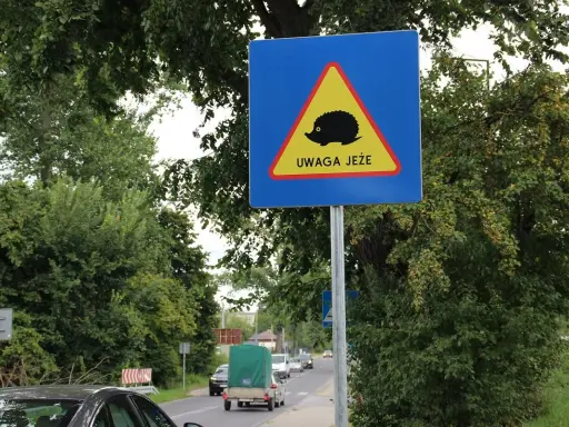 Litwa znaki drogowe: uwaga jeże! Niebezpieczeństwo na drodze, szczególnie nocą.