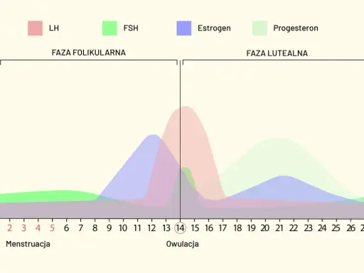 Wykres przedstawia fazy cyklu kobiety: folikularną i lutealną, z poziomami hormonów LH, FSH, estrogenu i progesteronu.