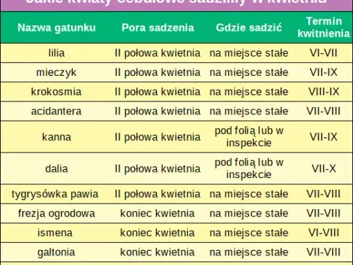 Jakie kwiaty sadzić w kwietniu? Uniknij błędów, ciesz się ogrodem!