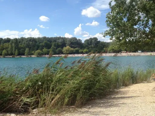 Bord du lac les Vannades, avec des roseaux au premier plan, une plage animée et une forêt dense en arrière-plan sous un ciel bleu et nuageux.