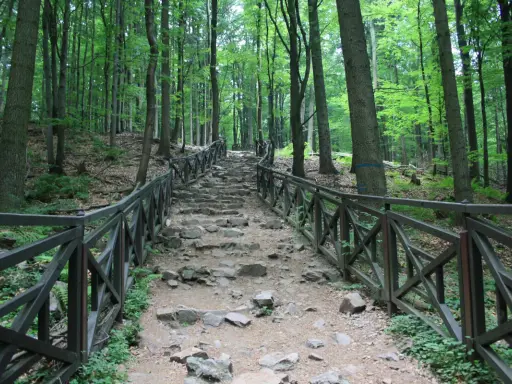 Kamienne schody z drewnianą balustradą prowadzą przez gęsty las. To jedna z malowniczych atrakcji Gór Świętokrzyskich, idealna na spacer.