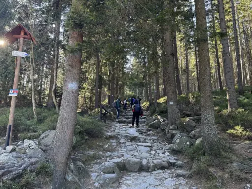 Kamienna ścieżka w lesie, turyści idą w górę. Znak wskazuje niebieski szlak na Śnieżkę.
