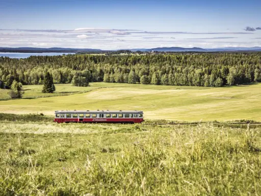 Roter Zug fährt durch grüne schwedische Landschaft. #Inlandsbanan.