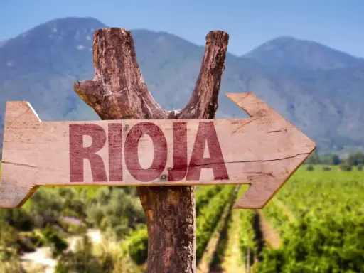 Flecha de madera rústica indica "RIOJA" hacia un paisaje de viñedos, evocando el encanto del medoc alavés.