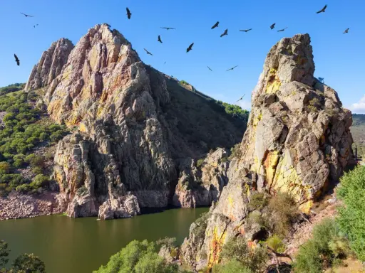 Felsige Berge und ein Fluss in Extremadura, Spanien. Geier kreisen am blauen Himmel über der rauen Landschaft.