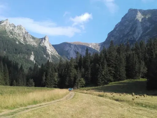 Dolina Pańszczyca w Tatrach. Dwie osoby idą ścieżką przez łąkę, otoczoną lasem świerkowym i skalistymi szczytami.
