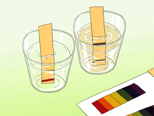 Bandes de papier réagissent dans deux verres d'eau, montrant des couleurs différentes pour tester le ph de l'eau. Une palette de couleurs est visible.