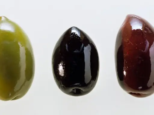 Tres aceitunas: verde, negra y morada. Cada una es una fuente de aceitunas nutrientes, esenciales para una dieta equilibrada.