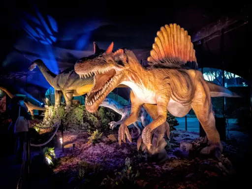 Figuras de dinosaurios realistas, incluyendo un Spinosaurus con su vela dorsal, en una exhibición nocturna en Madrid.