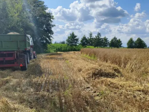 Emerytura z KRUS? Wypełnij zeznanie świadka Z-10 bezbłędnie!