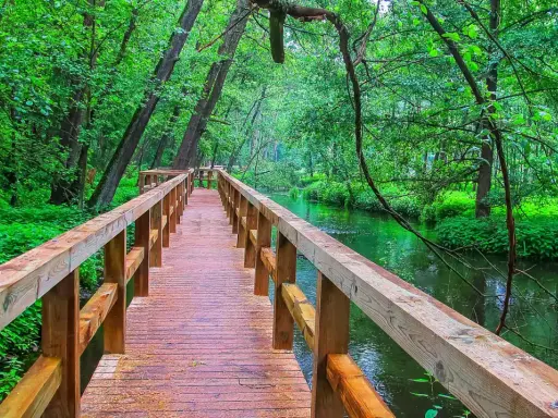 Drewniany mostek nad zieloną rzeką w lesie. Idealne miejsce na spacer, jedna z wielu atrakcji w promieniu 100 km od Radomia.