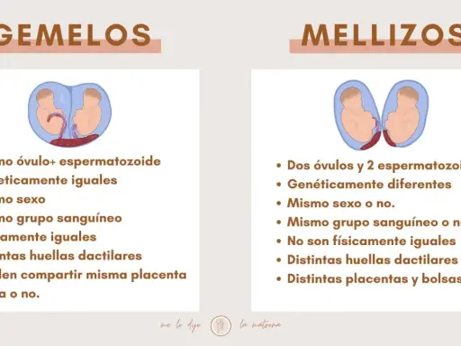Infografía que explica la diferencia entre gemelos y mellizos, mostrando sus orígenes y características.