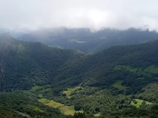 Majestuosas montañas cubiertas de bosque verde se elevan hacia un cielo nublado en el **valle de Liébana**.