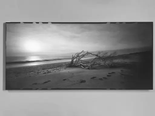 Spiaggia al tramonto con un albero contorto. L'**inkjet significato** è la stampa di questa immagine, catturando la malinconia del paesaggio.