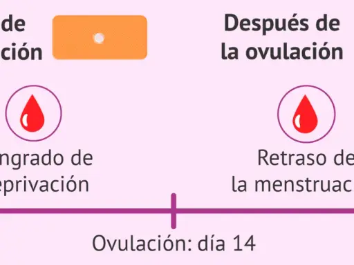 Diagrama muestra ciclo menstrual. Antes de ovulación, sangrado de deprivación. Después, retraso. Levonorgestrel puede afectar sangrado.