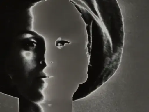Volto femminile in profilo, un'icona di stile di Lillian Bassman, con un gioco di luci e ombre che ne esalta la misteriosa bellezza.