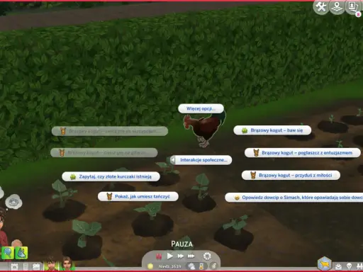 Sims 4 ciekawostki: brązowy kogut ćwiczy grę na skrzypcach, gitarze, bawi się, a nawet opowiada dowcipy o kurczakach.