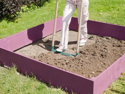 Une personne utilise un râteau pour ameublir la terre dans un carré potager violet.