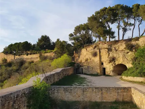 Vestiges du chateau de Cadenet creusés dans la roche, avec des pins majestueux surplombant le site.