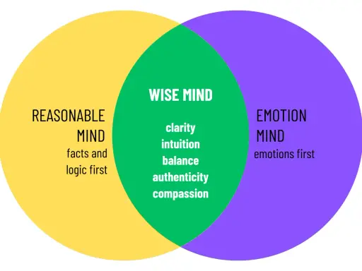 Venn-diagram som visar hur "wise mind" uppstår ur en balans mellan "reasonable mind" (logik) och "emotion mind" (känslor).