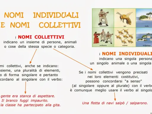 Spiegazione dei nomi collettivi e individuali per la classe terza, con esempi visivi di musicista, ape, isola, orchestra, sciame e arcipelago.
