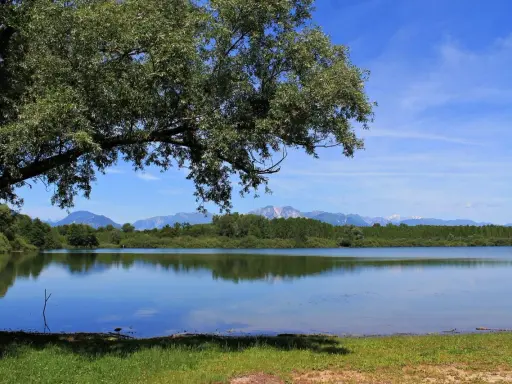 Un ramo di un grande albero ombreggia la riva erbosa del lago di Ragogna. Le montagne sullo sfondo si riflettono sull'acqua calma.
