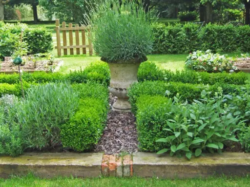 Un jardin aromatique plan avec lavande, buis taillés et herbes diverses. Une urne en pierre trône au centre.