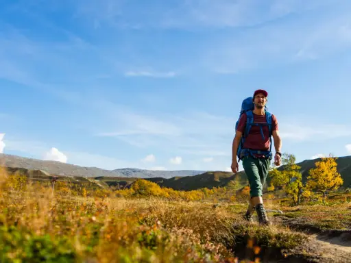 Man med ryggsäck vandrar på en stig i svensk fjällterräng under en klarblå himmel. Höstfärger lyser upp landskapet.