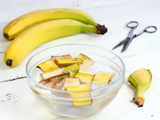Kawałki skórek bananów w wodzie, przygotowywane jako nawóz z banana. Obok leżą banany i nożyczki.
