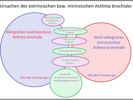 Schema zeigt extrinsisches Asthma, das 90% der Fälle ausmacht, mit Unterformen wie berufsbedingtem allergischem Asthma.